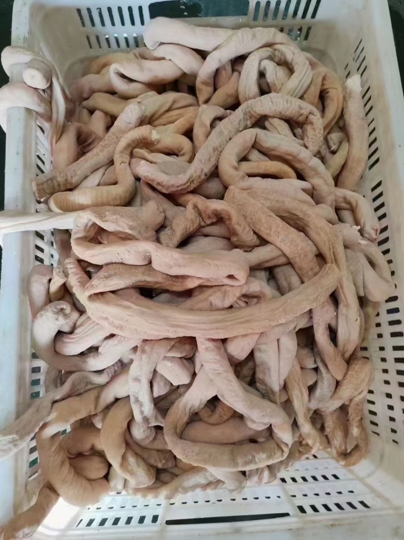 牛小肠