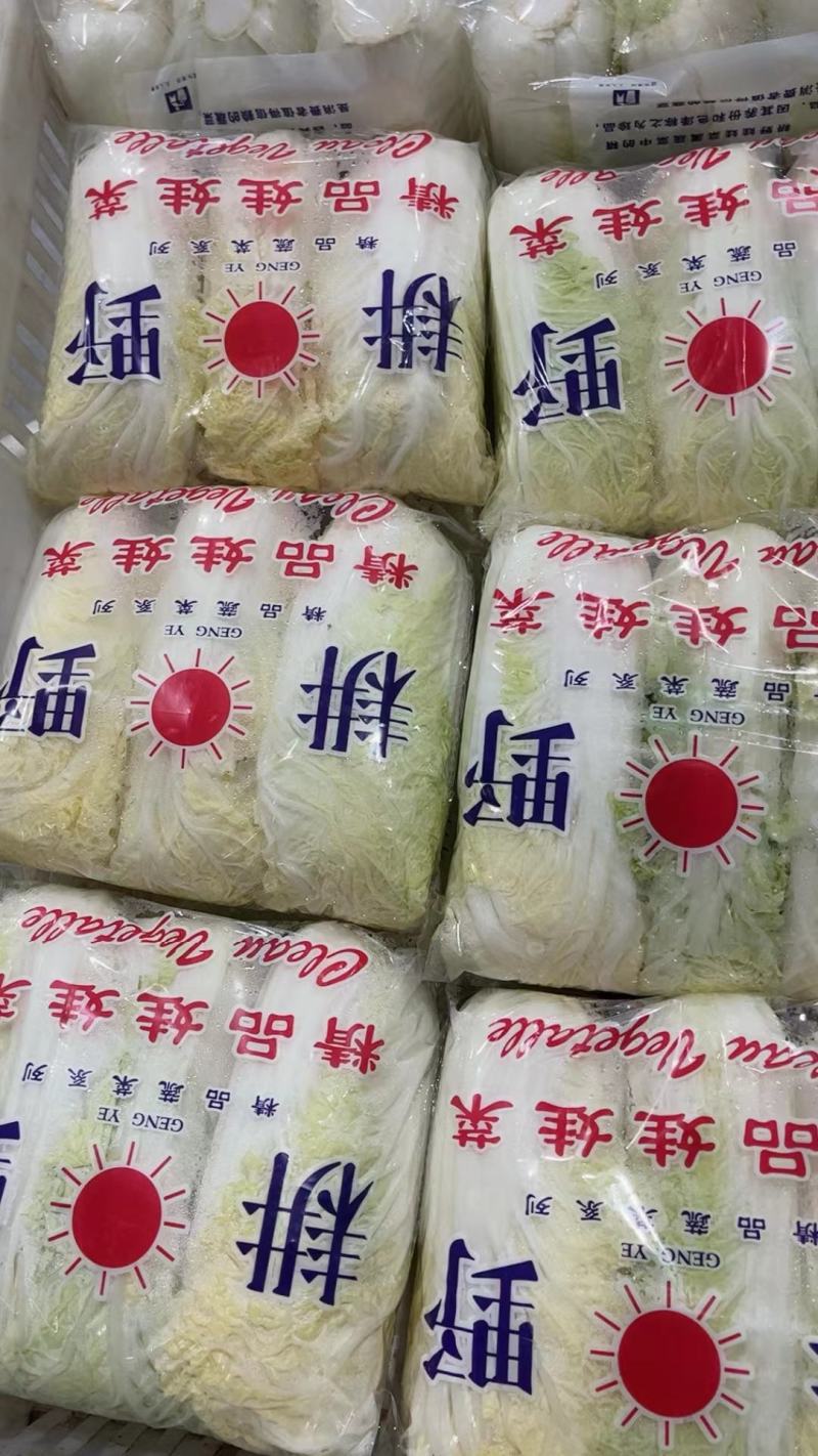 精品小娃娃菜海量上市/货源充足/欢迎致电咨询