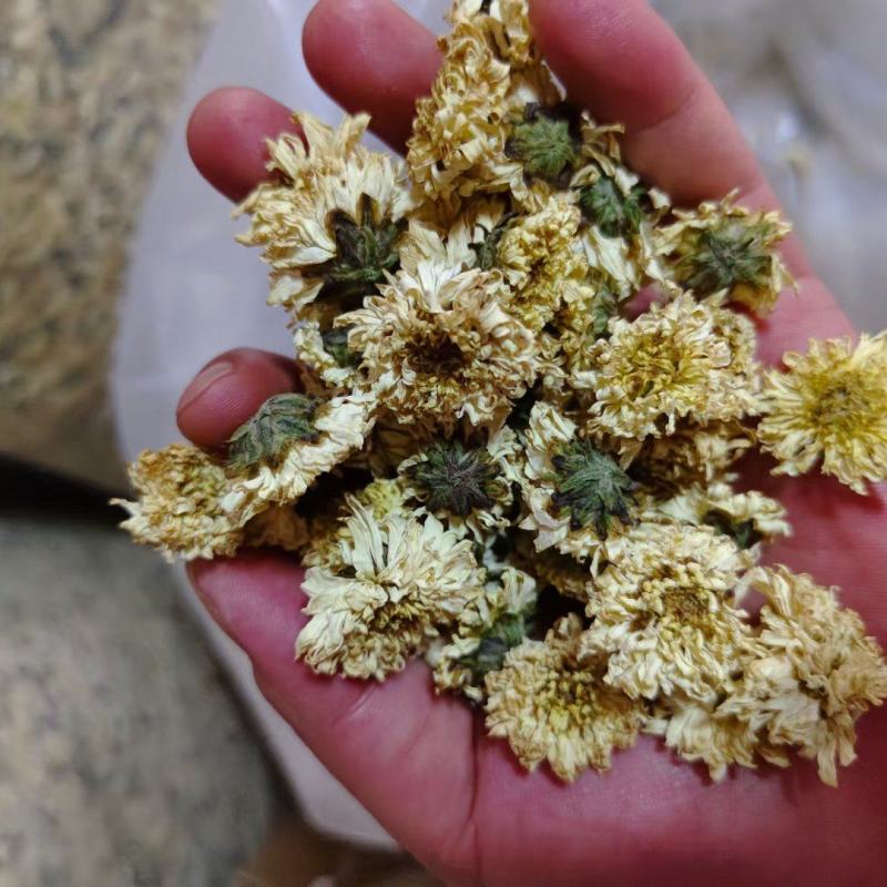 菊花药用菊花菊花质量保证无理由退换货