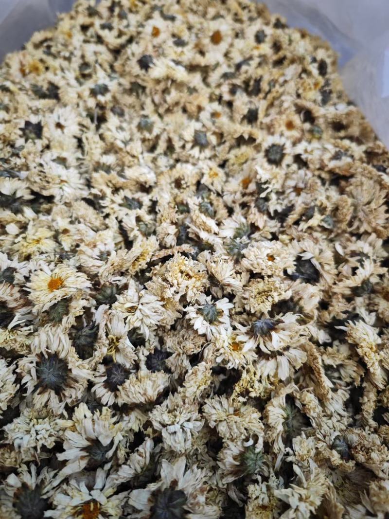 菊花药用菊花菊花质量保证无理由退换货