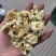 菊花药用菊花菊花质量保证无理由退换货
