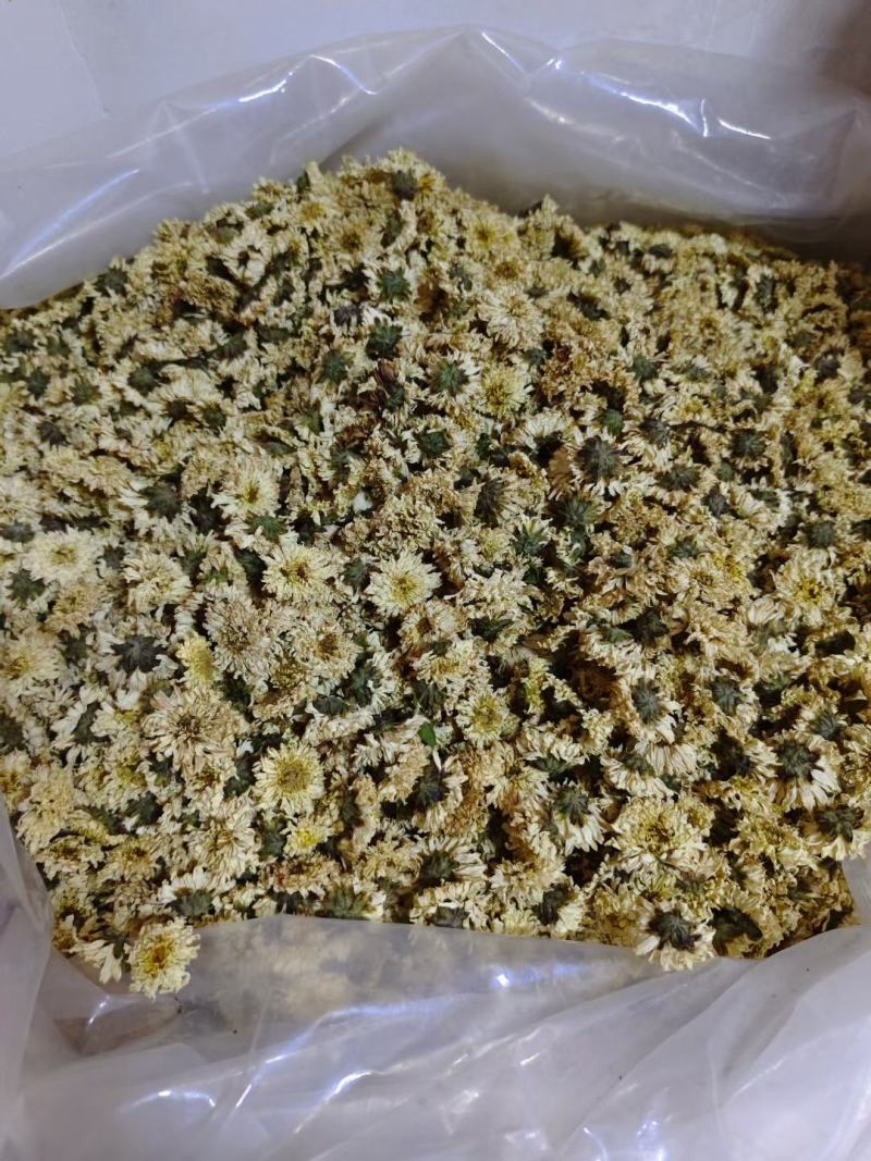 菊花药用菊花菊花质量保证无理由退换货