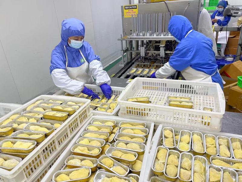 烤榴莲半成品榴莲糕点工厂直营