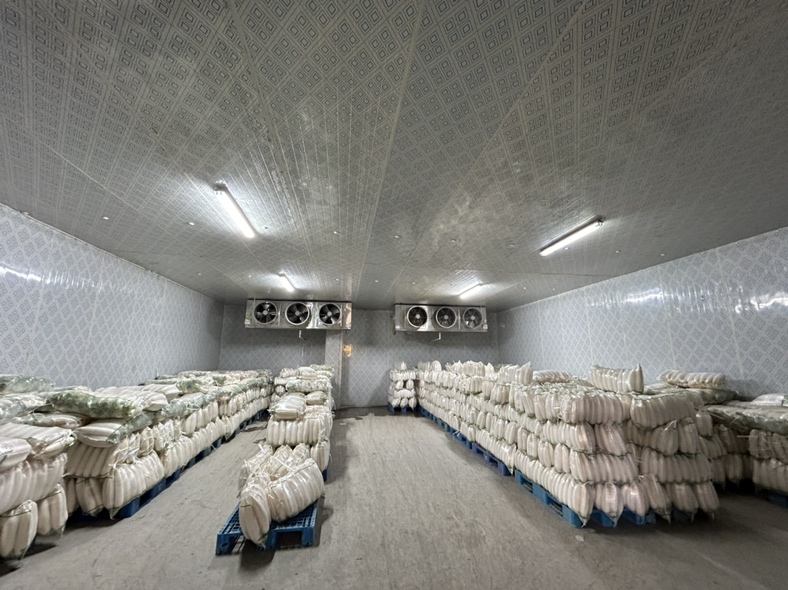 大白萝卜冷冻保存示意图