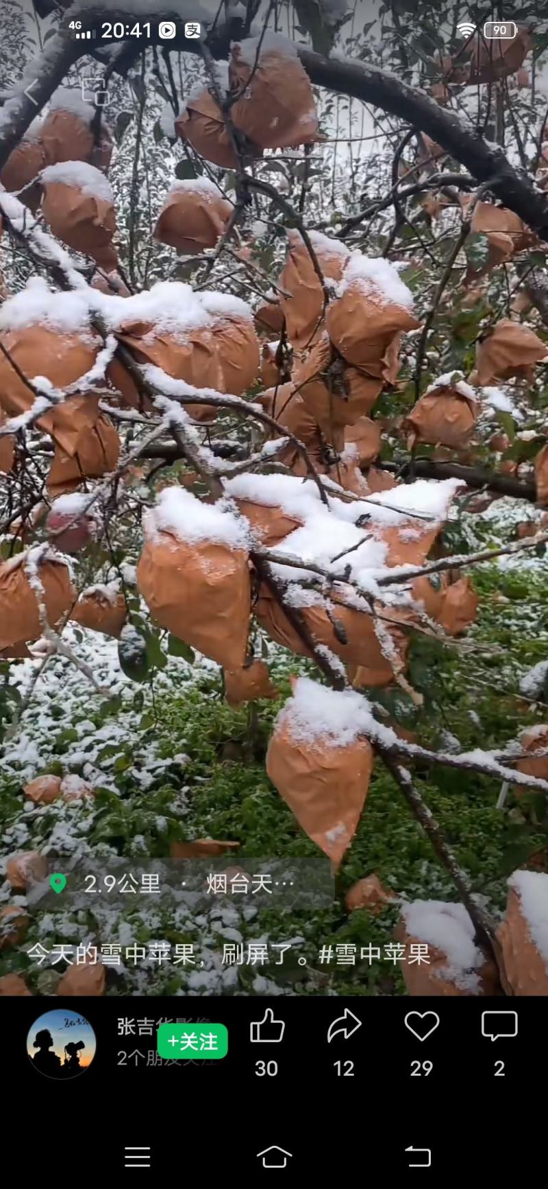 大雪之后的奶油富士，皮薄脆甜多汁，货源充足，保证质量，诚