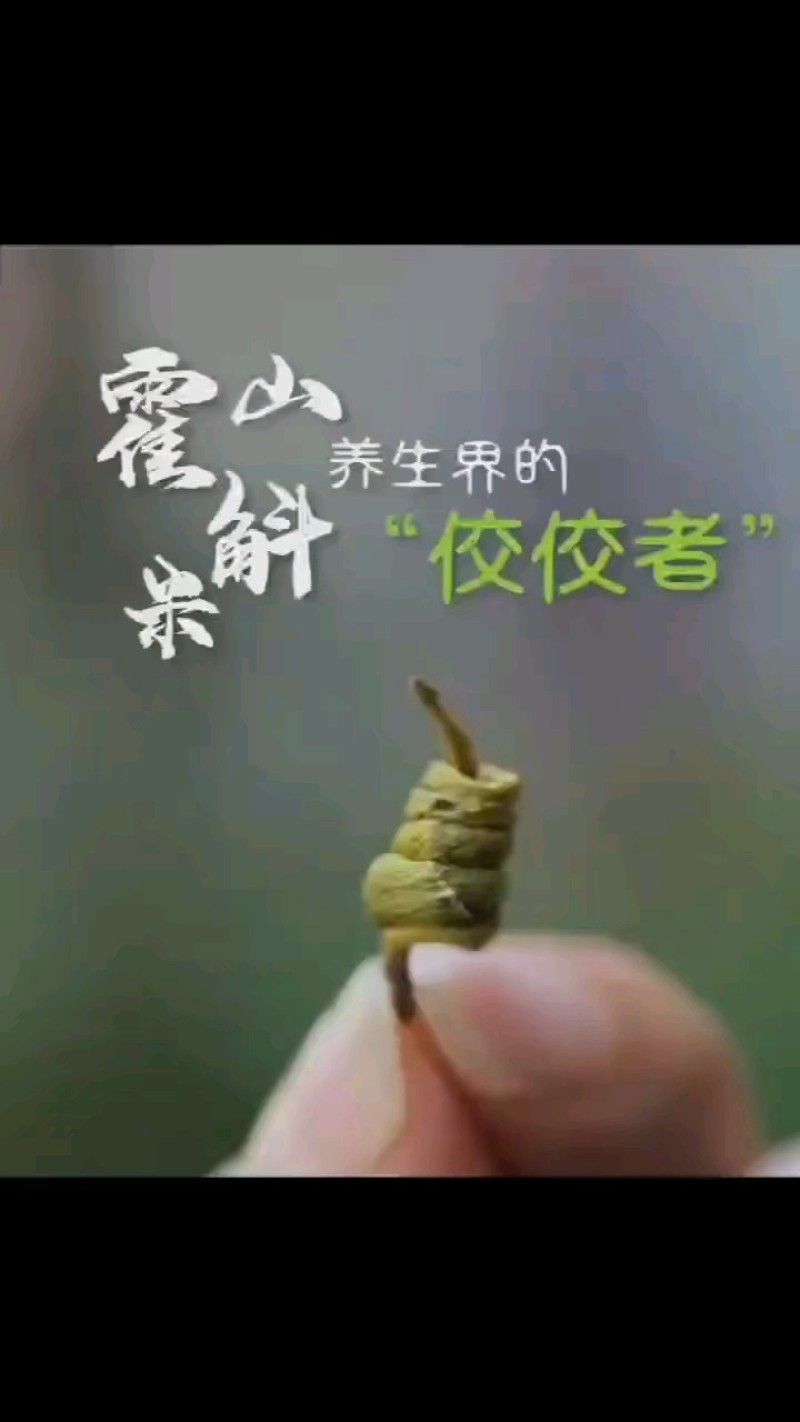 霍山米斛霍山石斛龙头凤尾烤干条