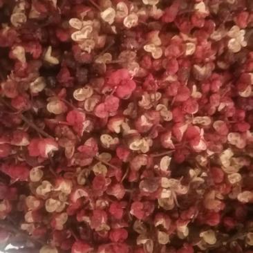 茂汶大红袍花椒，农户种植，价格实惠，供货稳定，诚信经营