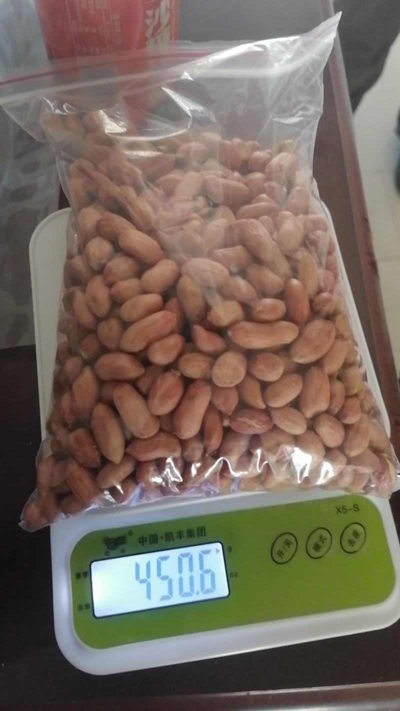 花生米河南开封花生米花生果主产区大中小果