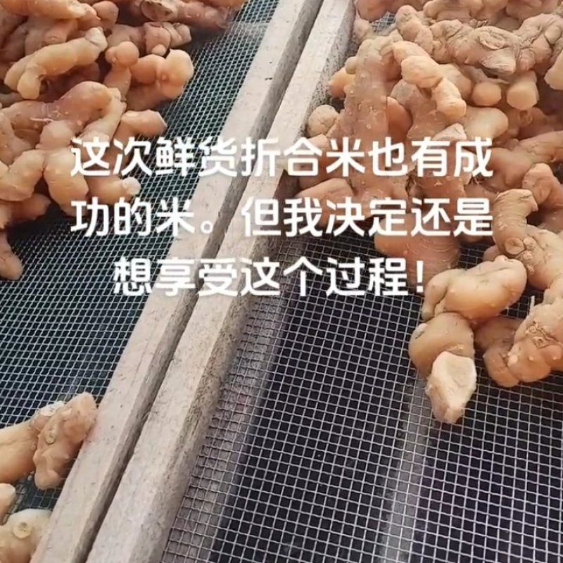 预售野生黄精（干货）