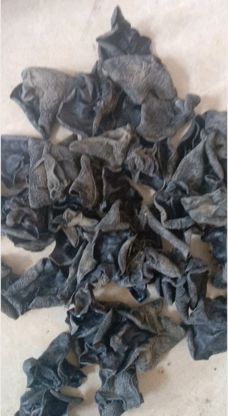 精选黑木耳，保质保量，大量有货，欢迎各地采购老板欢迎来电