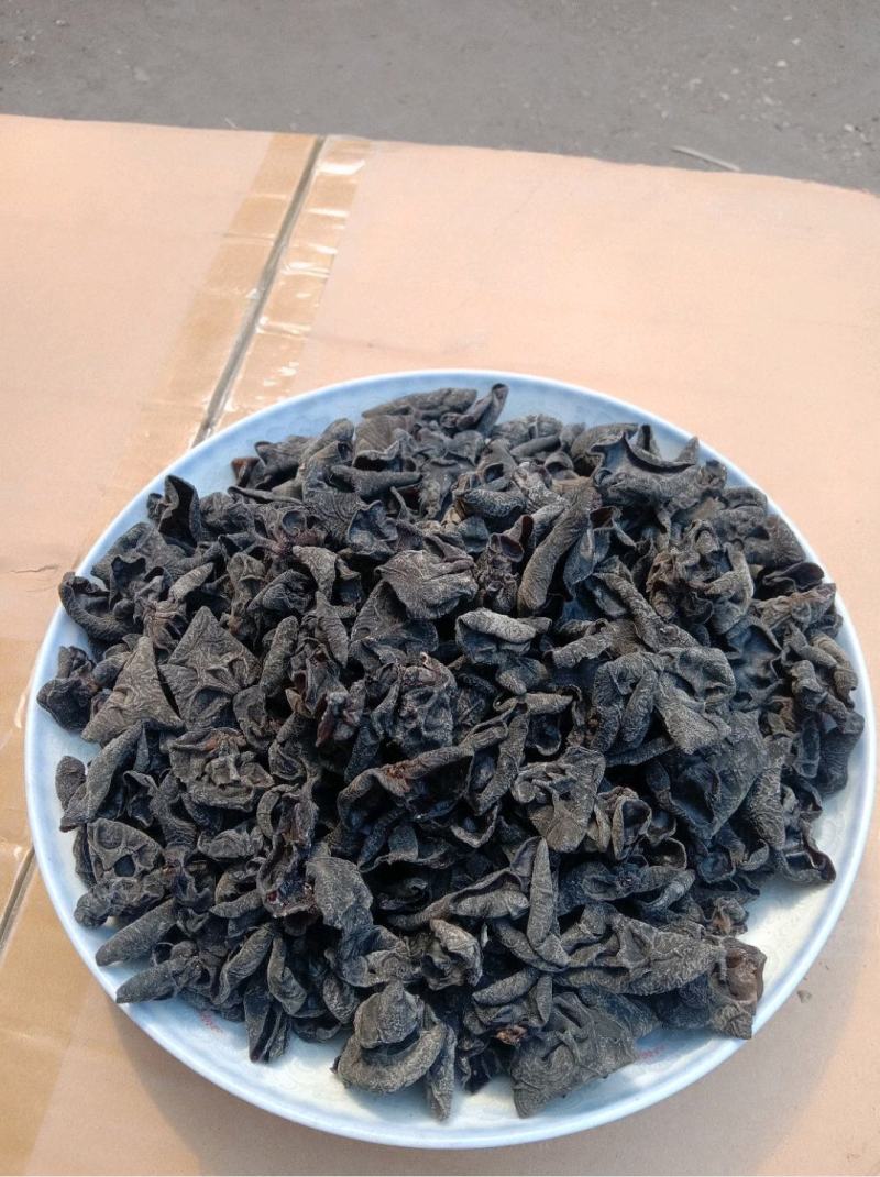 精选黑木耳，保质保量，大量有货，欢迎各地采购老板欢迎来电