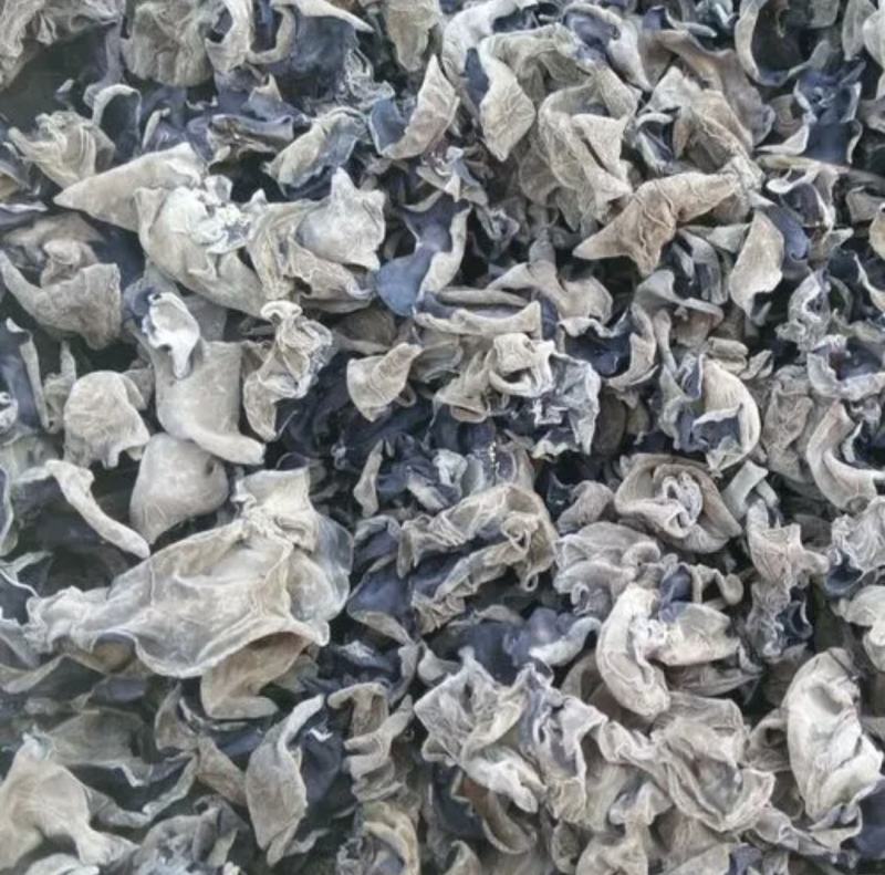 黑木耳大小都有，各种品种皆全，品质保障可在线下单