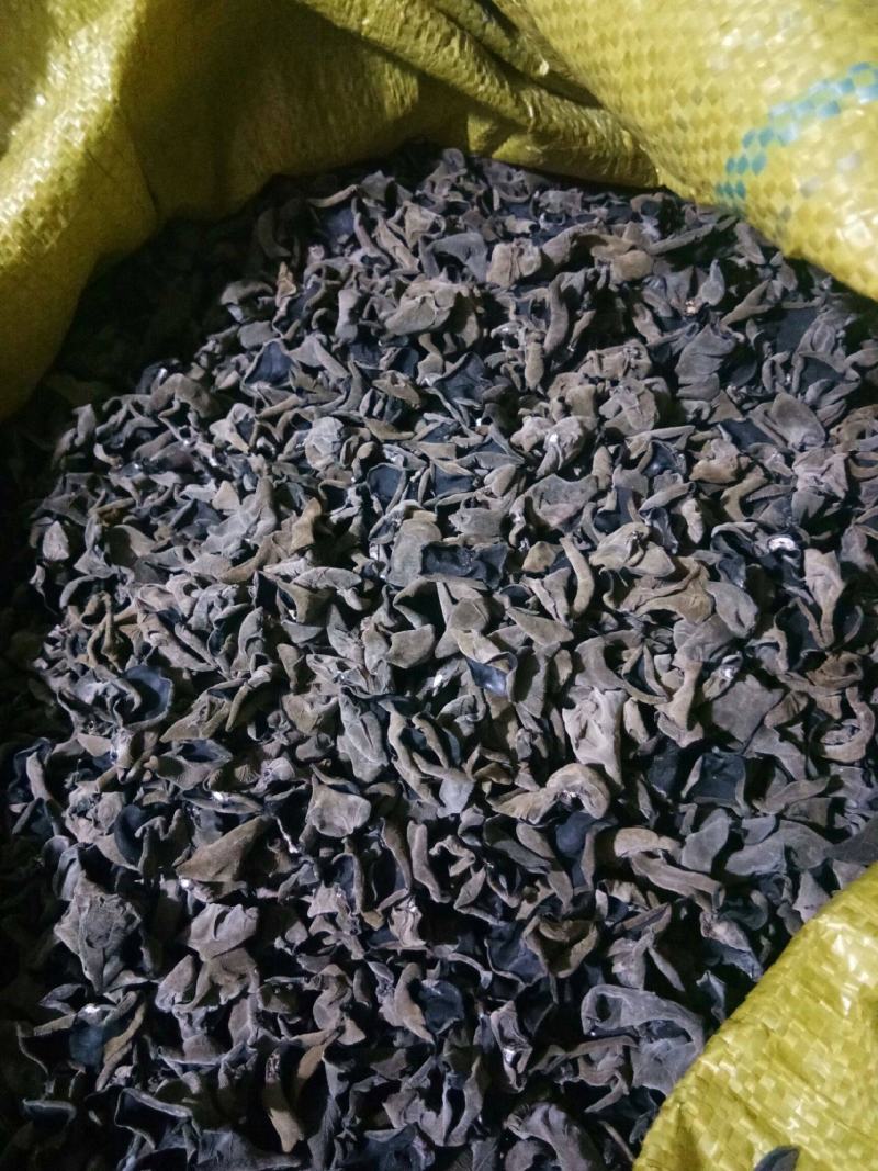 黑木耳大小都有，各种品种皆全，品质保障可在线下单