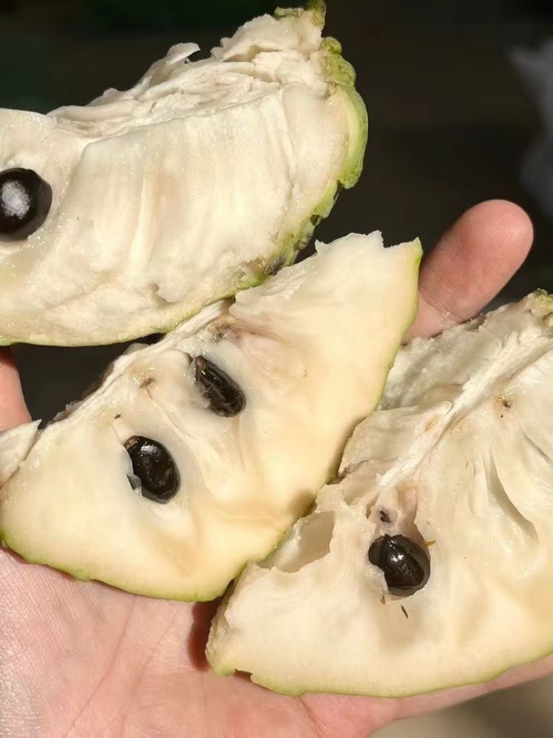 云南释迦果