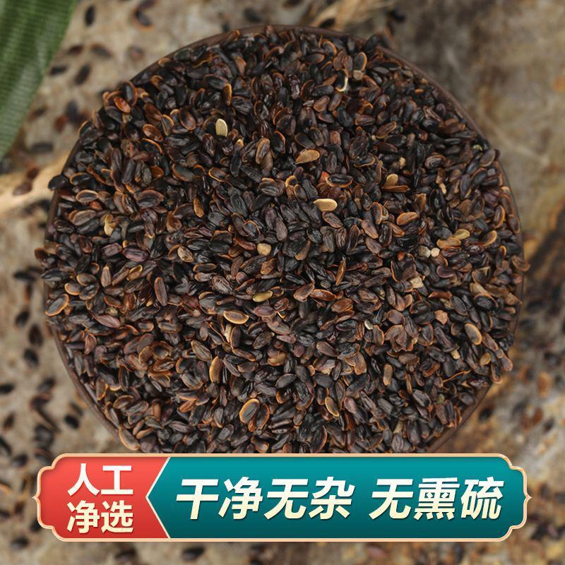 桔梗种子