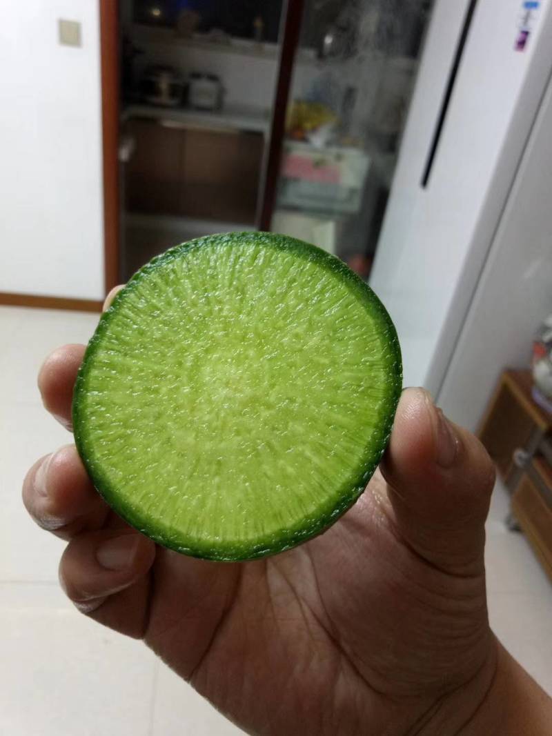 丹东马市岛水果萝卜