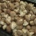 自家种植基地采摘精品香菇已上市欢迎新老客户订购