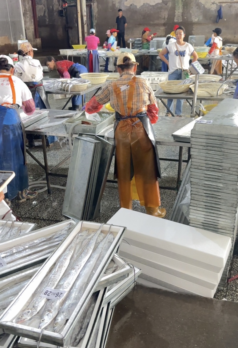 舟山带鱼冷冻带鱼精品礼盒厂家直发无中间商供电商市场