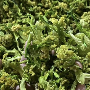 特级【花菜干】对接全国，透明交易，日供万吨，实力供货