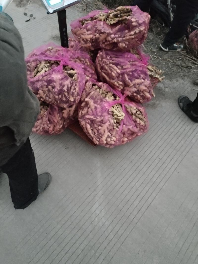 大黄姜，小黄姜