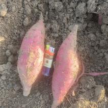 西瓜红薯，自家种植一手货源，价格便宜
