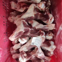 肥猪前腿骨