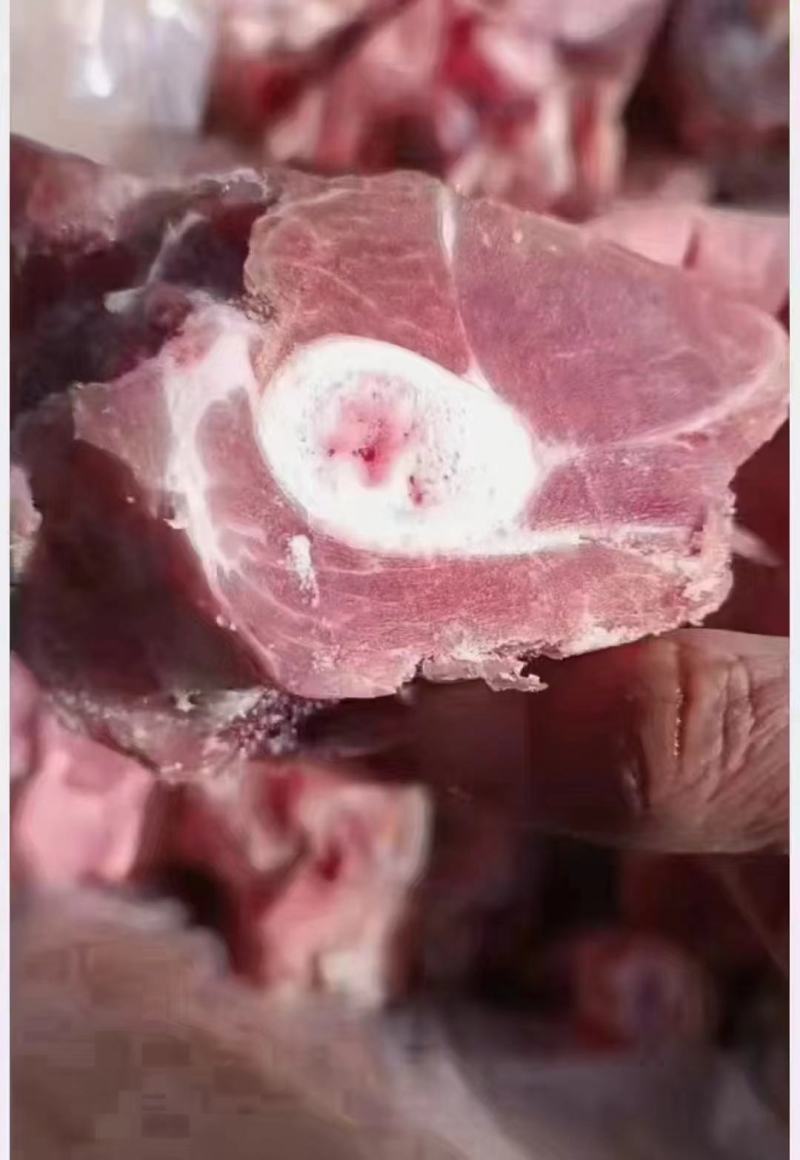 肥猪前腿骨