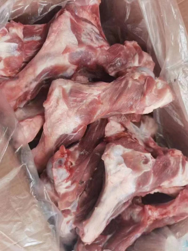 肥猪前腿骨