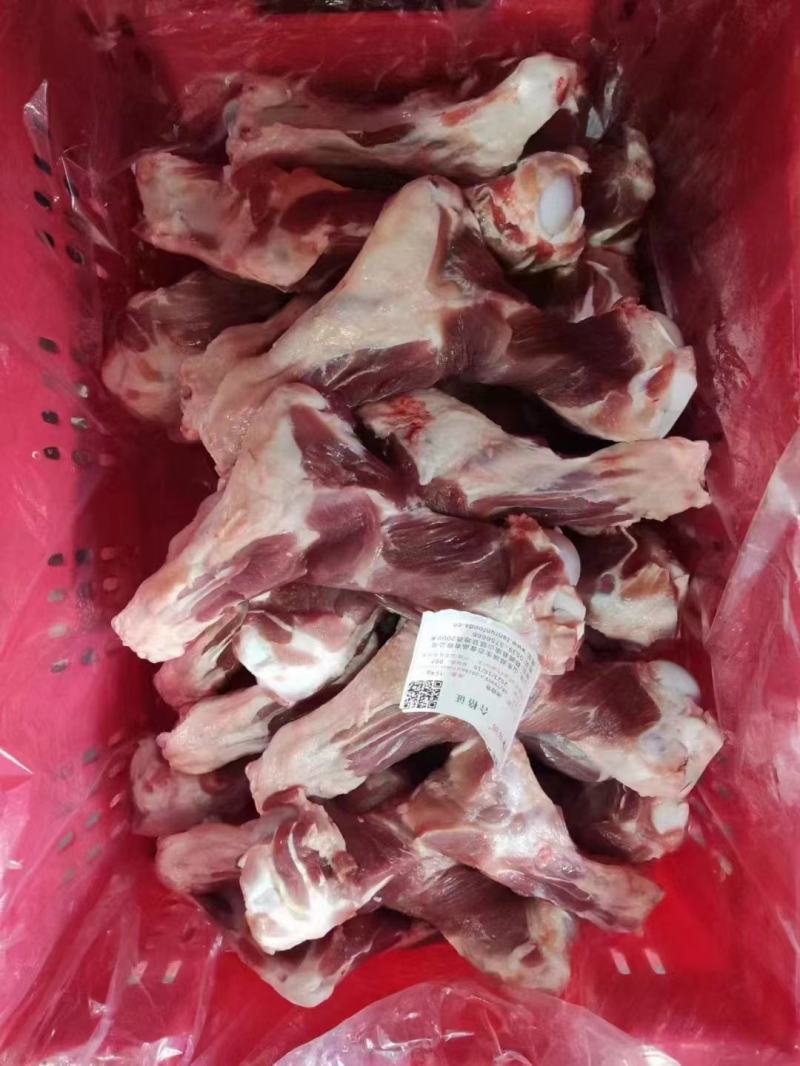 肥猪前腿骨