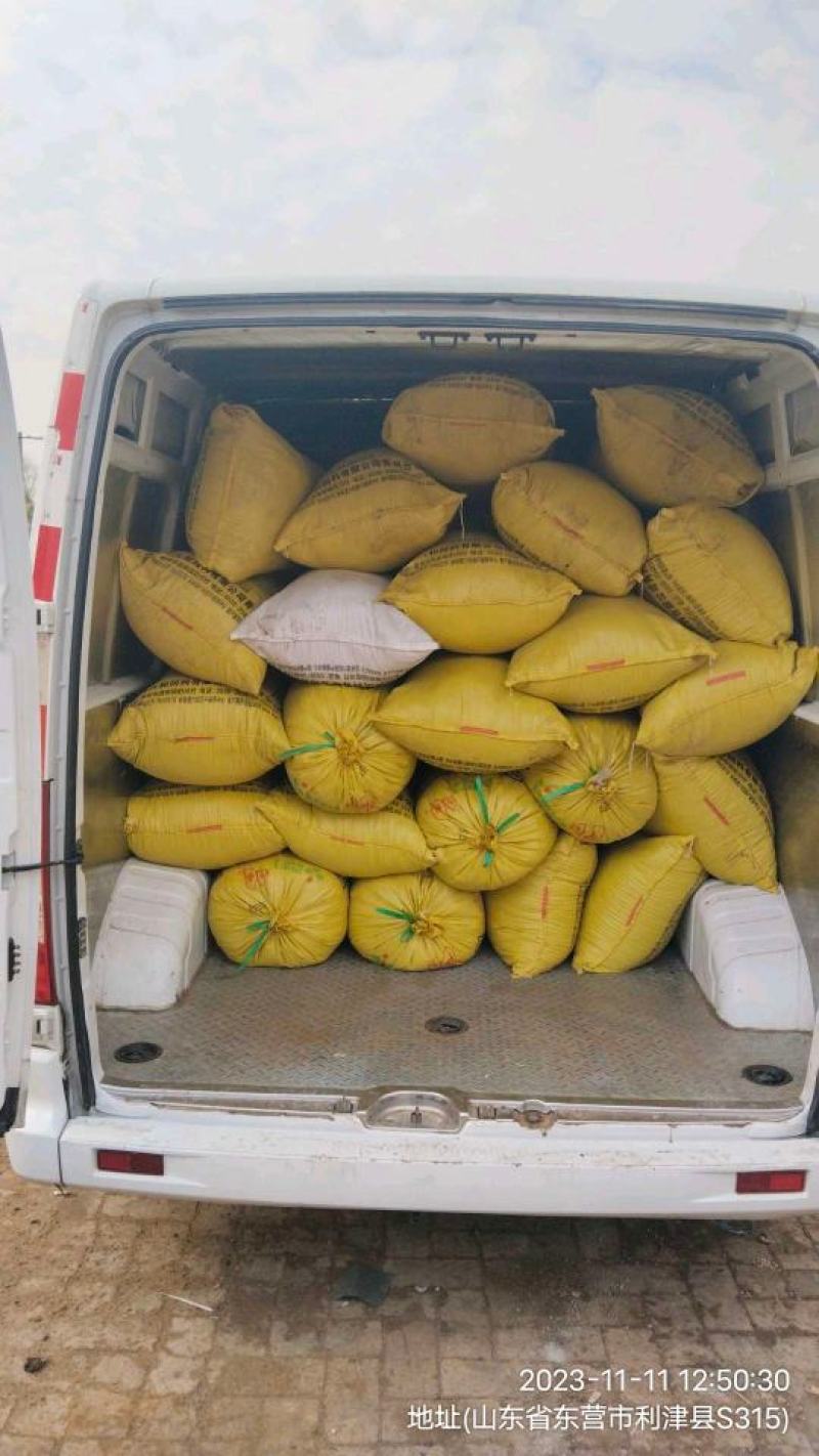 有机肥料棉籽粕，大量供应货源充足常年有货欢迎抢购