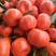 重庆万州区古红桔优良品种现摘现发量大从优