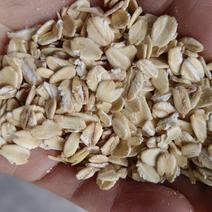 海华农产品优质生麦片
