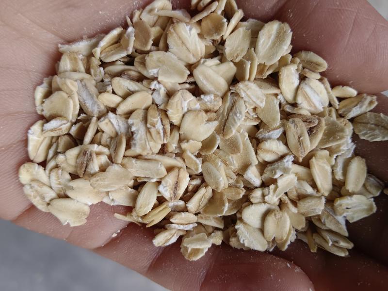 海华农产品优质生麦片