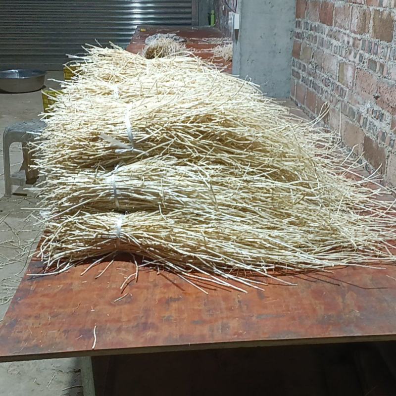 白茅根