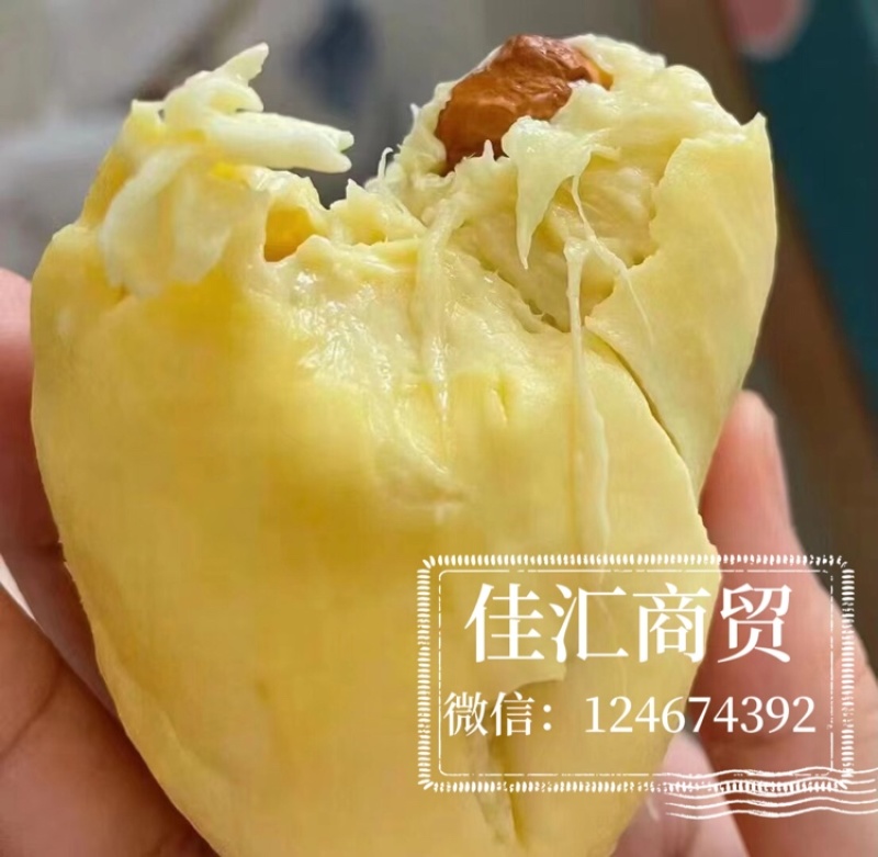 浦乐鲜高品质冷冻榴莲肉一袋808g