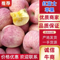 陕西洛川水晶红富士苹果大量现货，物美价廉欢迎采购