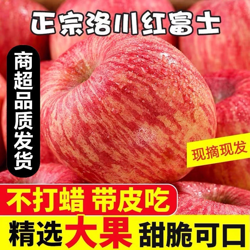 陕西洛川水晶红富士苹果大量现货，物美价廉欢迎采购