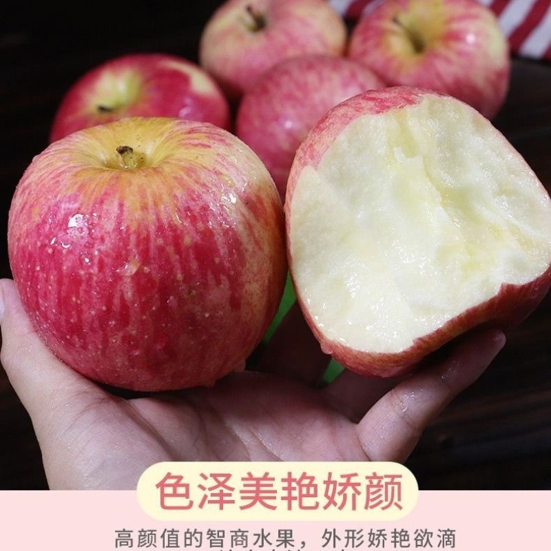 陕西洛川水晶红富士苹果大量现货，物美价廉欢迎采购