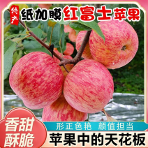 纸加膜苹果，瑞香红，苹果，瑞雪苹果，水晶红富士苹果供应商