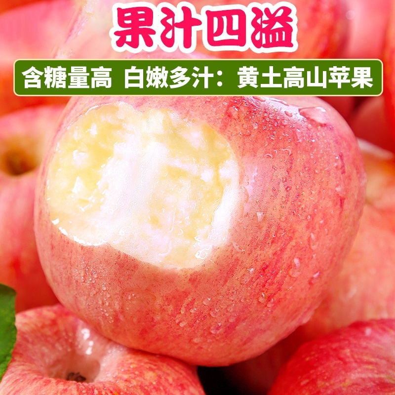 纸加膜苹果，瑞香红，苹果，瑞雪苹果，水晶红富士苹果供应商