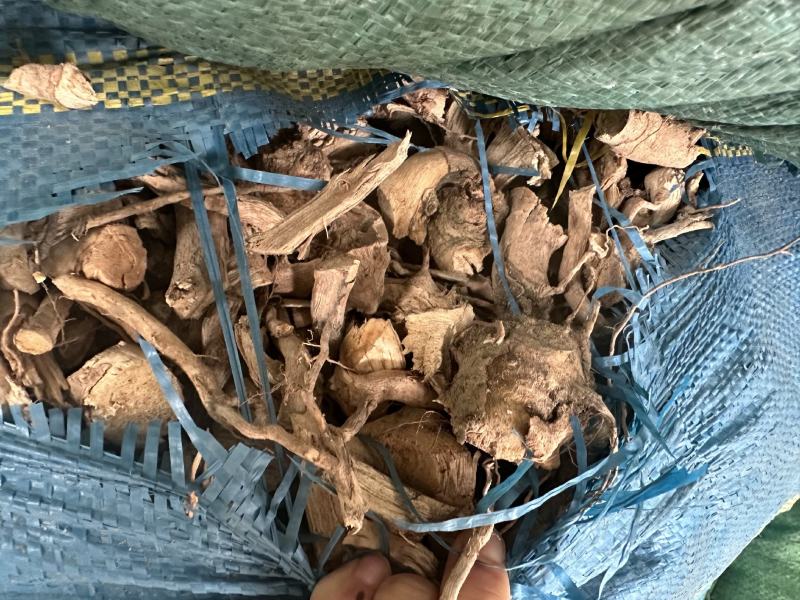 羊开口野牡丹根小花瓶根羊开口羊开口根