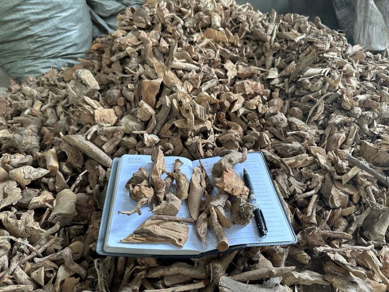 羊开口野牡丹根小花瓶根羊开口羊开口根