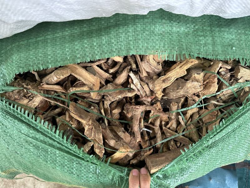 羊开口野牡丹根小花瓶根羊开口羊开口根
