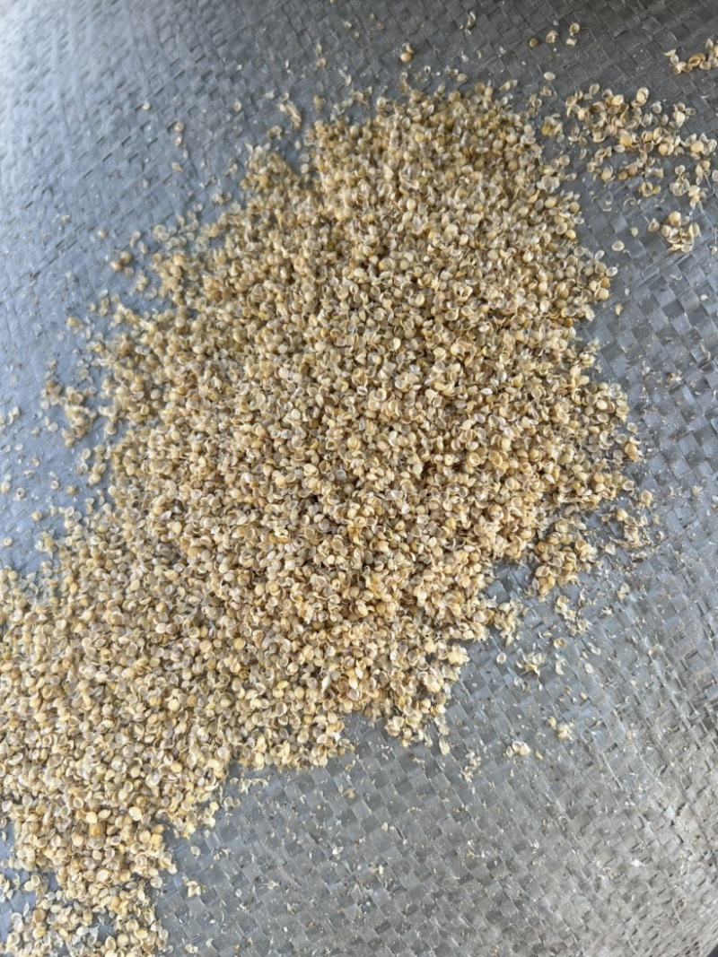 河北小米壳糠碎糠品类齐全，质量保证产地直发可视频看货