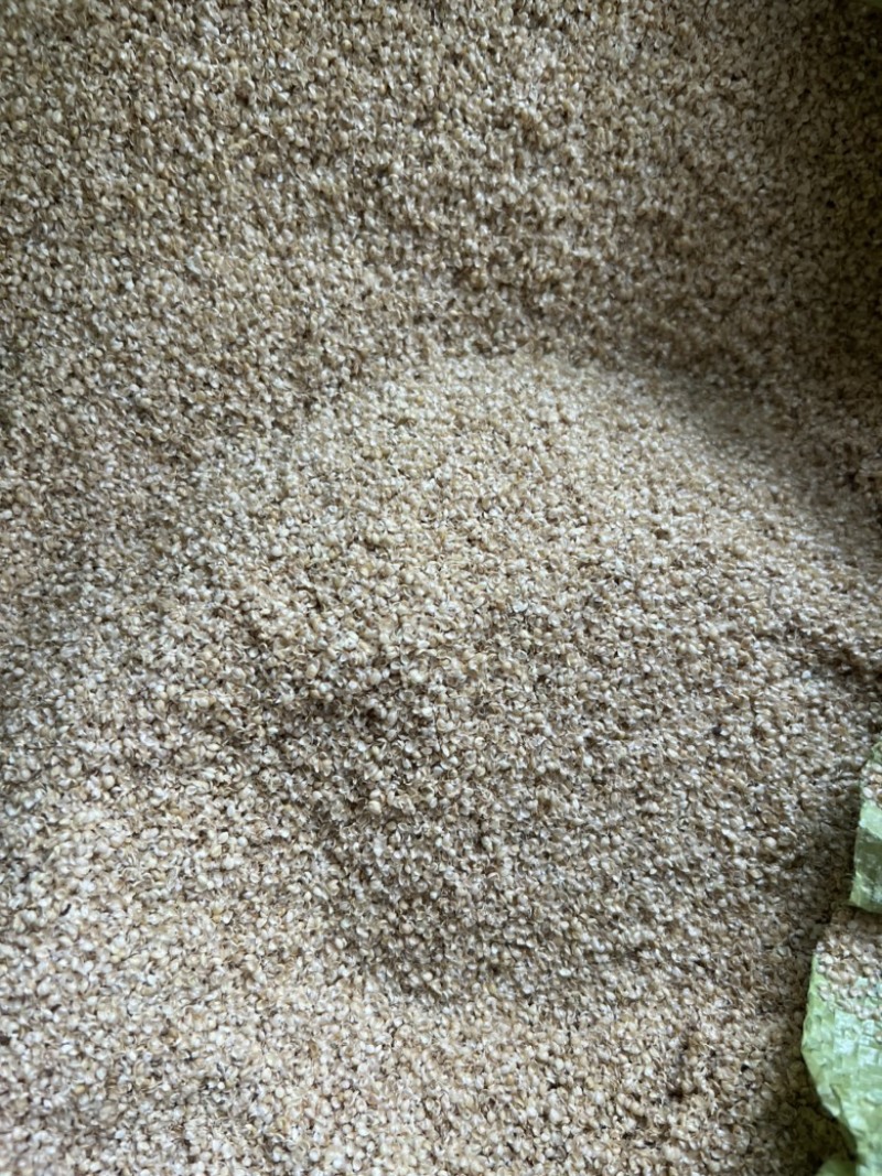 河北小米壳糠碎糠品类齐全，质量保证产地直发可视频看货