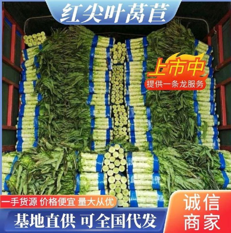 宿州红叶香莴笋一一一丨价格便宜丨不空心，量大从优