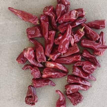 大量供应剪把北京红，代把北京红，