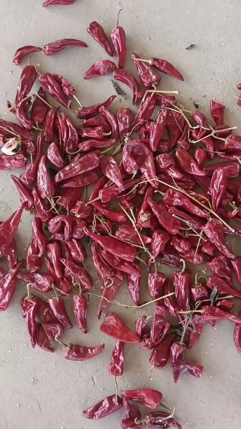 大量供应剪把北京红，代把北京红，