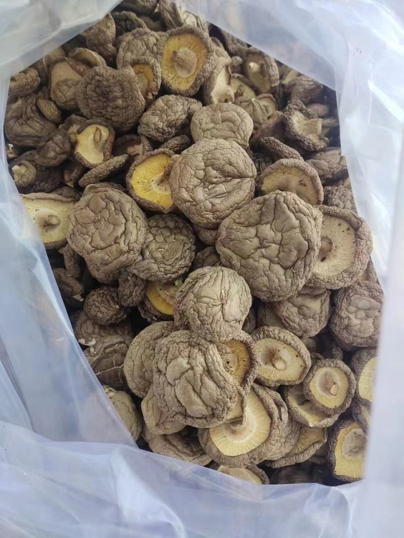 精选干香菇