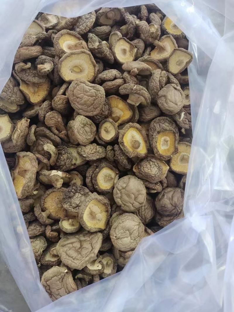 精选干香菇